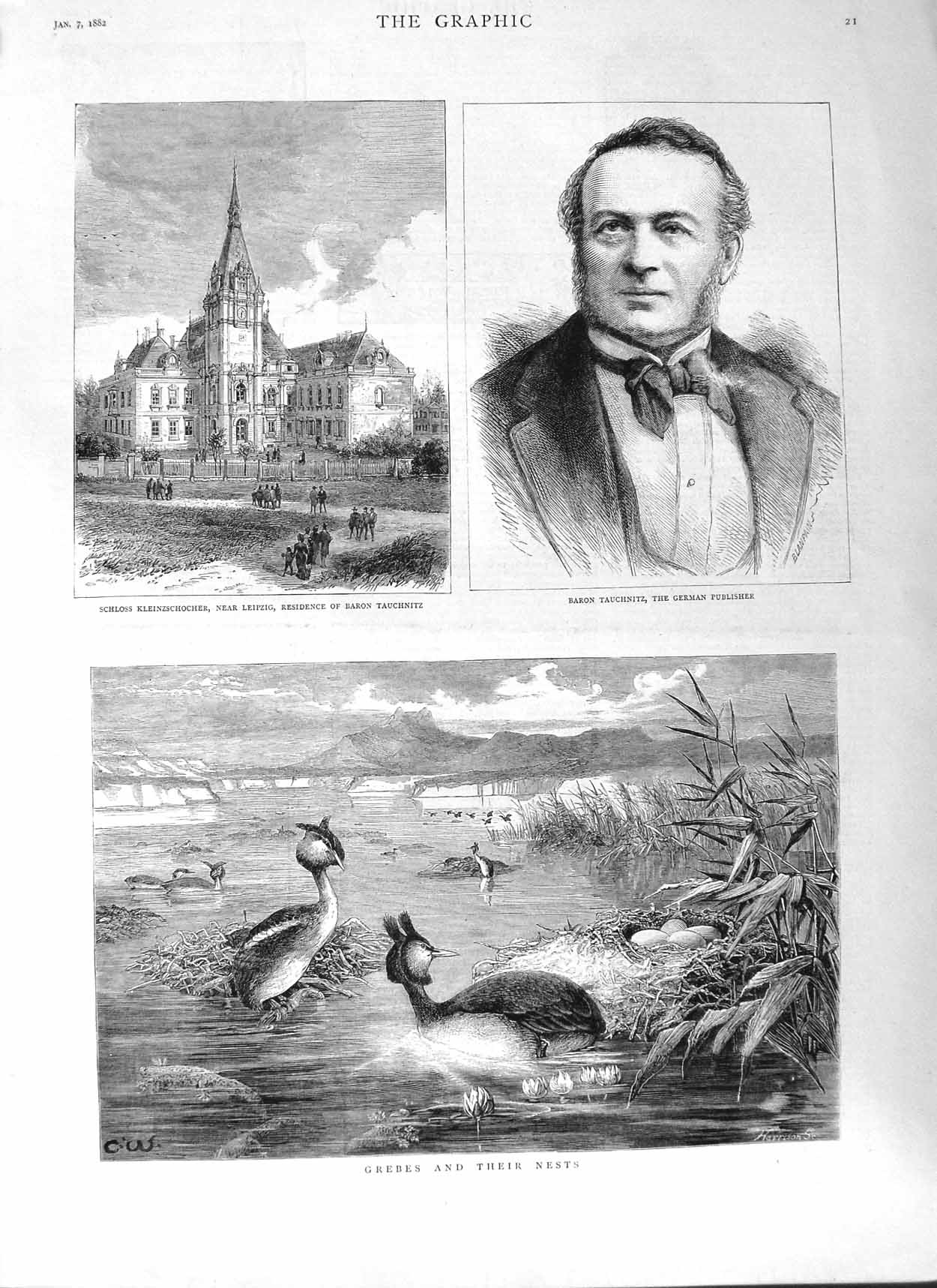 Old Antique Print 1882 Schloss Kleinzschocher Baron Tauchnitz Grebes Bird 19th