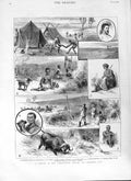 Original Old Antique Print 1882 Formosa Bay Camp Kirke Arab Sier Zebras Hunting