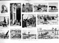 Old Antique Print 1882 Plantagenet Trot Dogs Pig Hunting Farm Dogs Goats 0 19th