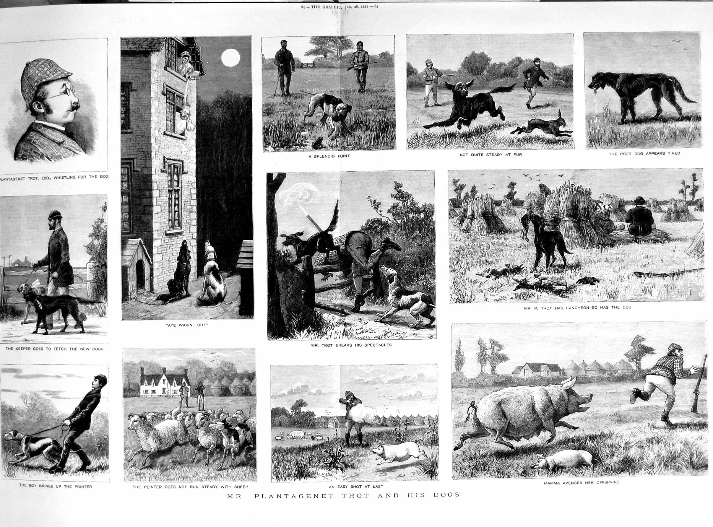 Old Antique Print 1882 Plantagenet Trot Dogs Pig Hunting Farm Dogs Goats 0 19th