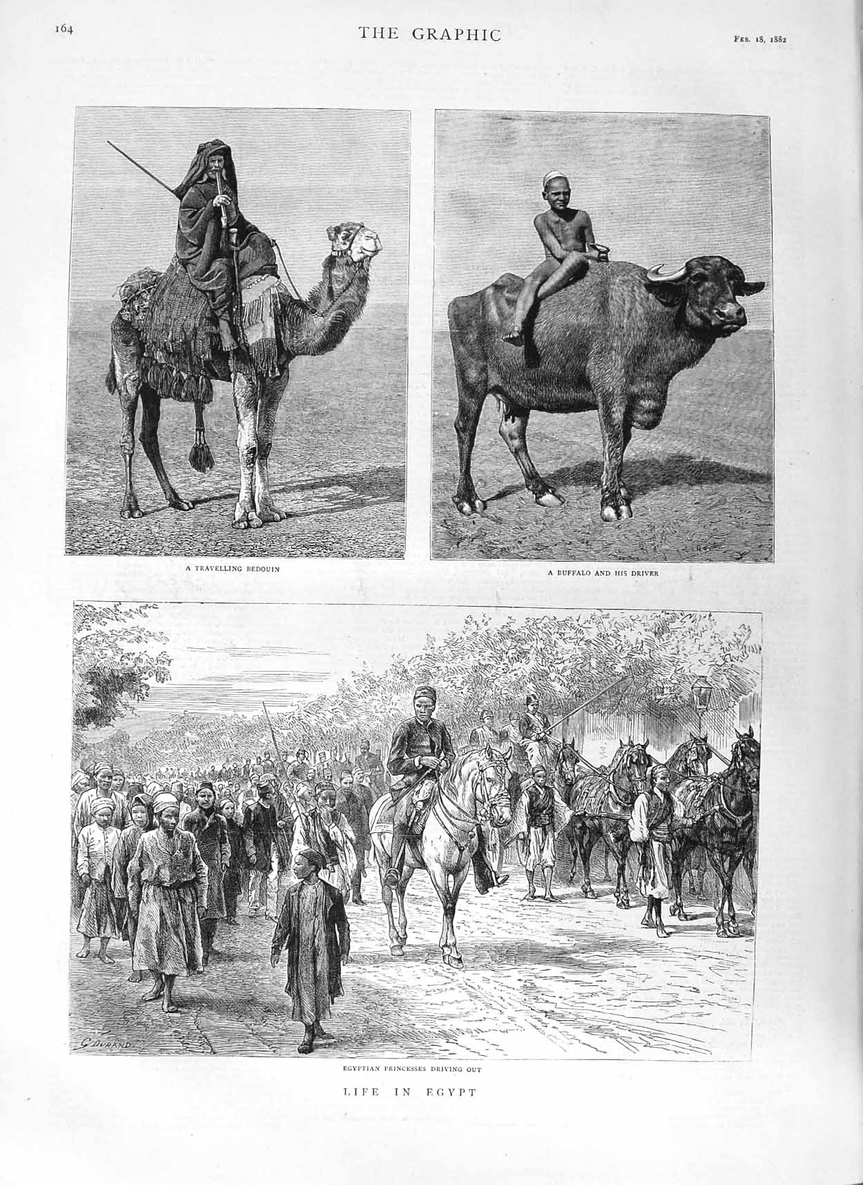 Original Old Antique Print 1882 Egypt Bedouin Camel Buffalo Egyptian Princesses