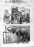 Original Old Antique Print 1882 Explosion Trimdon Colliery Durham Elephan 19th