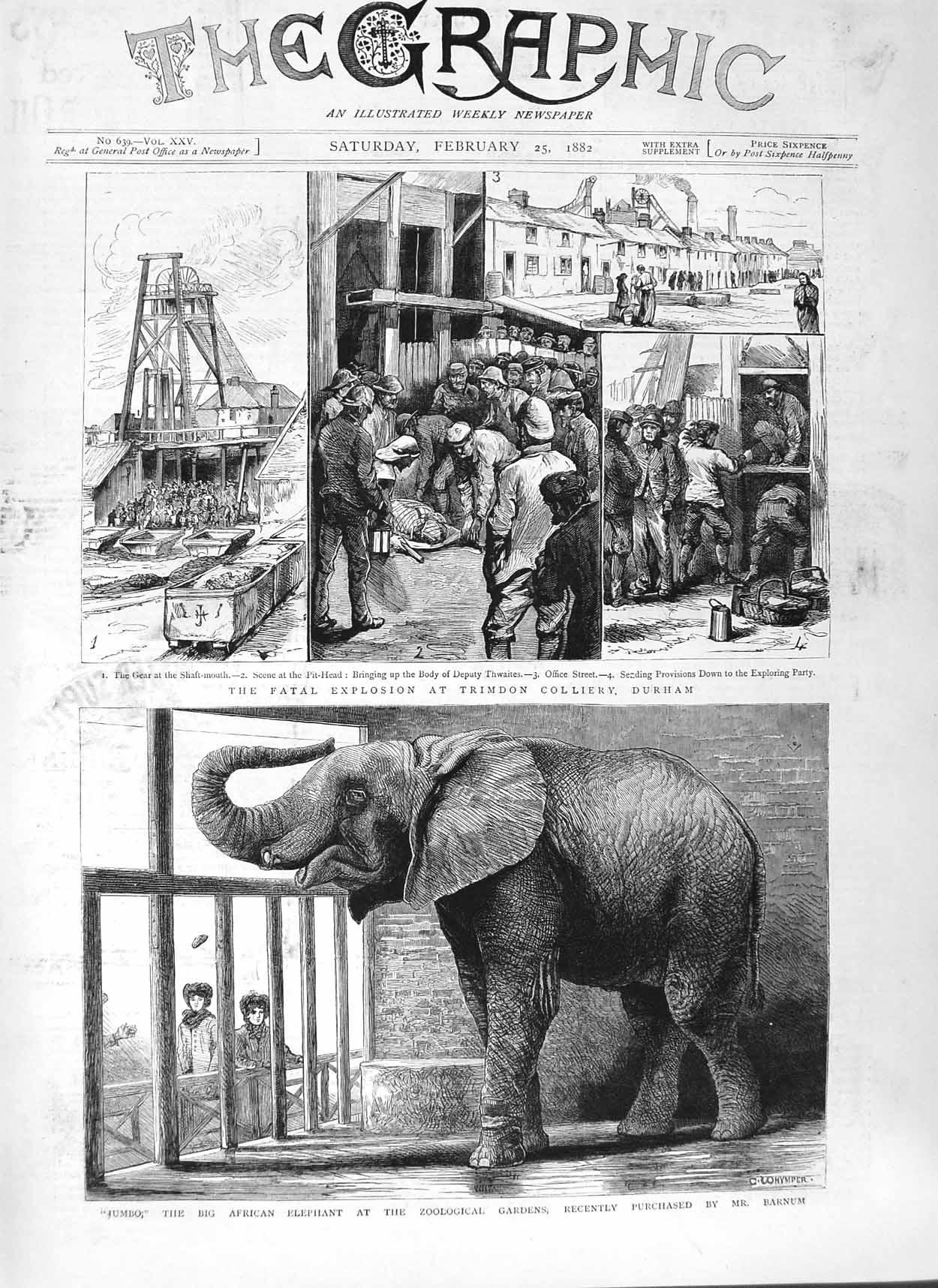 Original Old Antique Print 1882 Explosion Trimdon Colliery Durham Elephan 19th