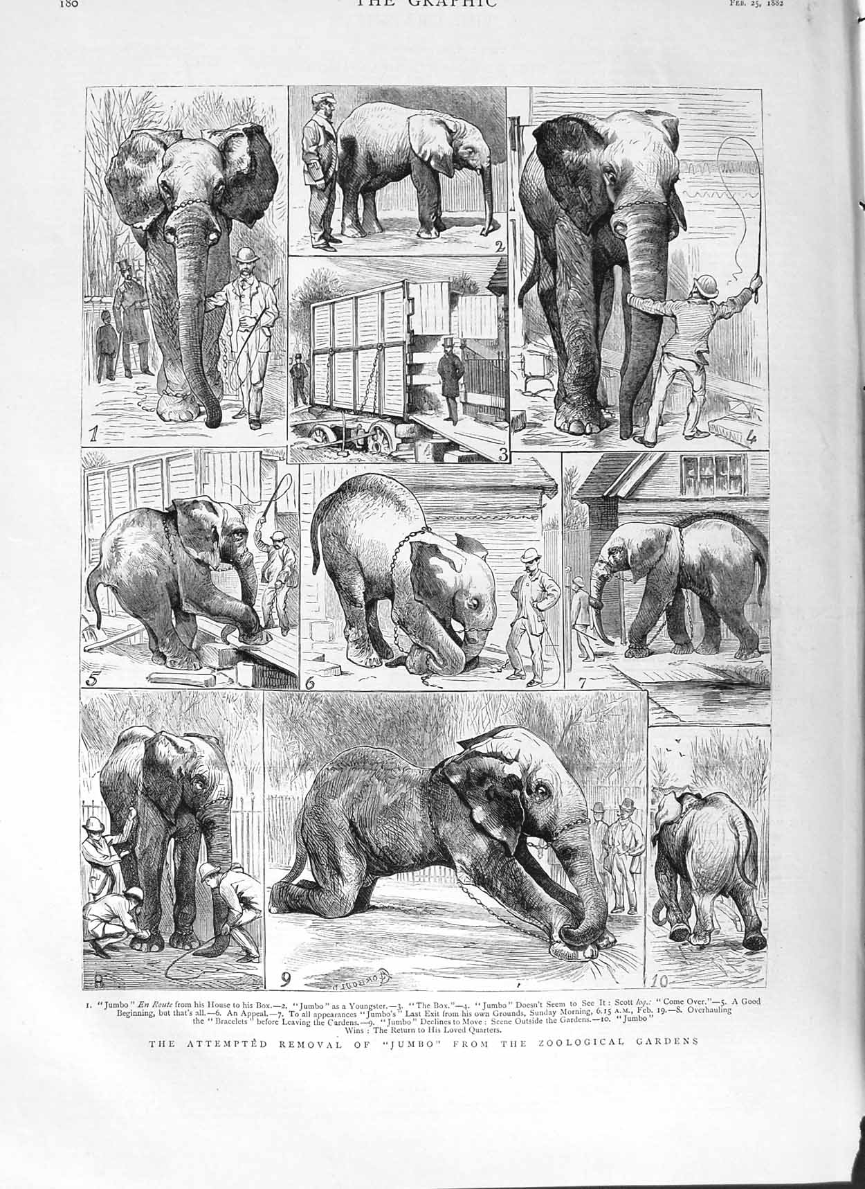 Original Old Antique Print 1882 Jumbo Elephant Zoological Gardens Wild Victorian