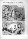 Old Antique Print 1882 Queen Mentone Lemons Trees Maison Bottini Monaco 19th