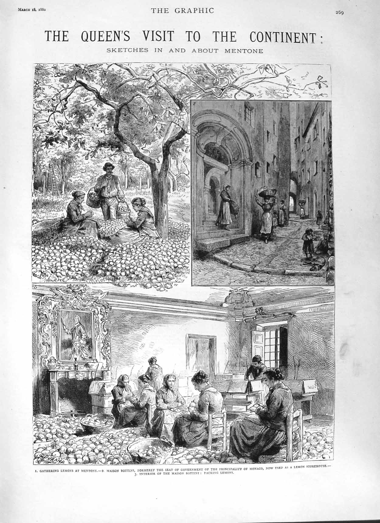 Old Antique Print 1882 Queen Mentone Lemons Trees Maison Bottini Monaco 19th