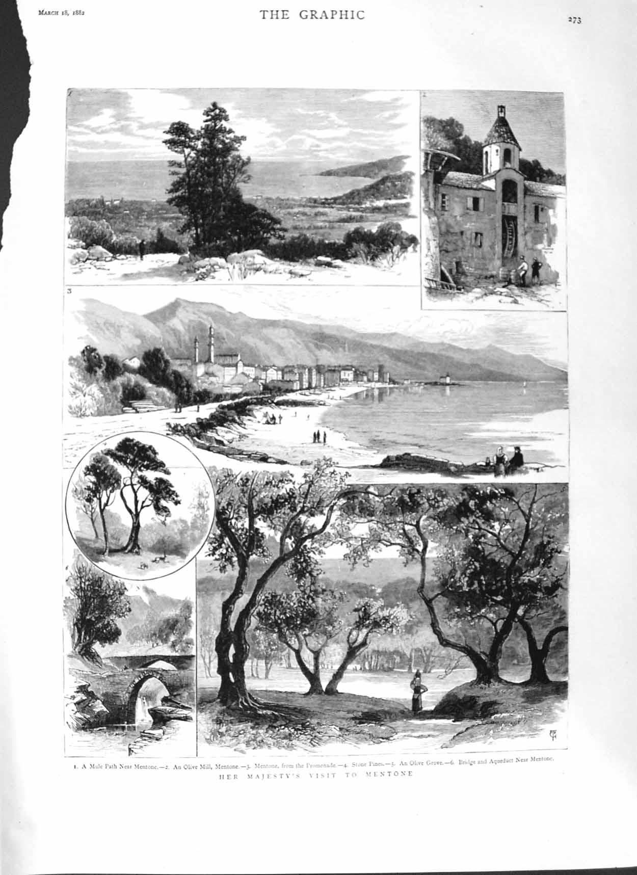 Old Antique Print 1882 Queen Mentone Olive Mill Stone Pines Grove Bridge 19th
