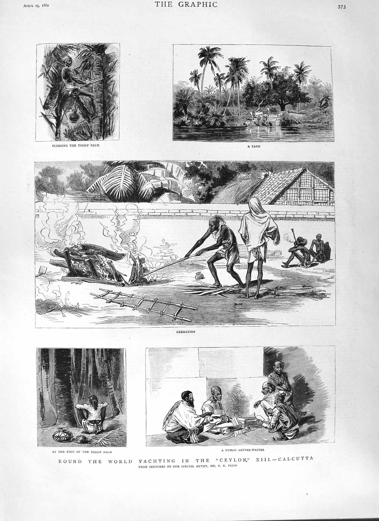 Old Antique Print 1882 Yacht Ceylon Calcutta India Toddy Palm Tree Native 19th