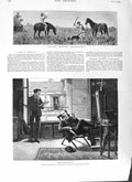 Antique Old Print *3087 1882 Wallaby Hunting Queensland Australia Men Chair
