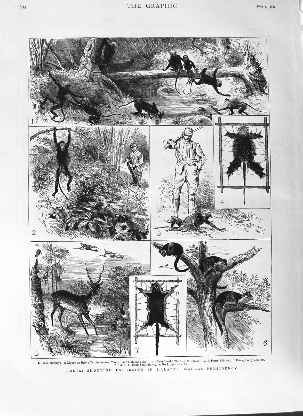 Original Old Antique Print 1882 India Shooting Malabar Madras Monkeys Squirrel