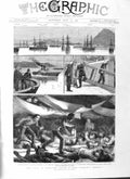 Original Old Antique Print 1882 Egypt War Troop Ship Orontes Plymouth War 19th