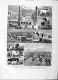 Original Old Antique Print 1882 Africa Agricultural Show Port Elizabeth Colony
