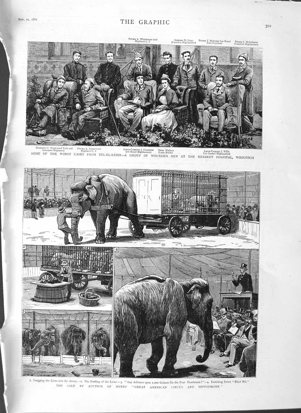Original Old Antique Print 1882 Auction Myers Lions Elephants Hospital Woolwich