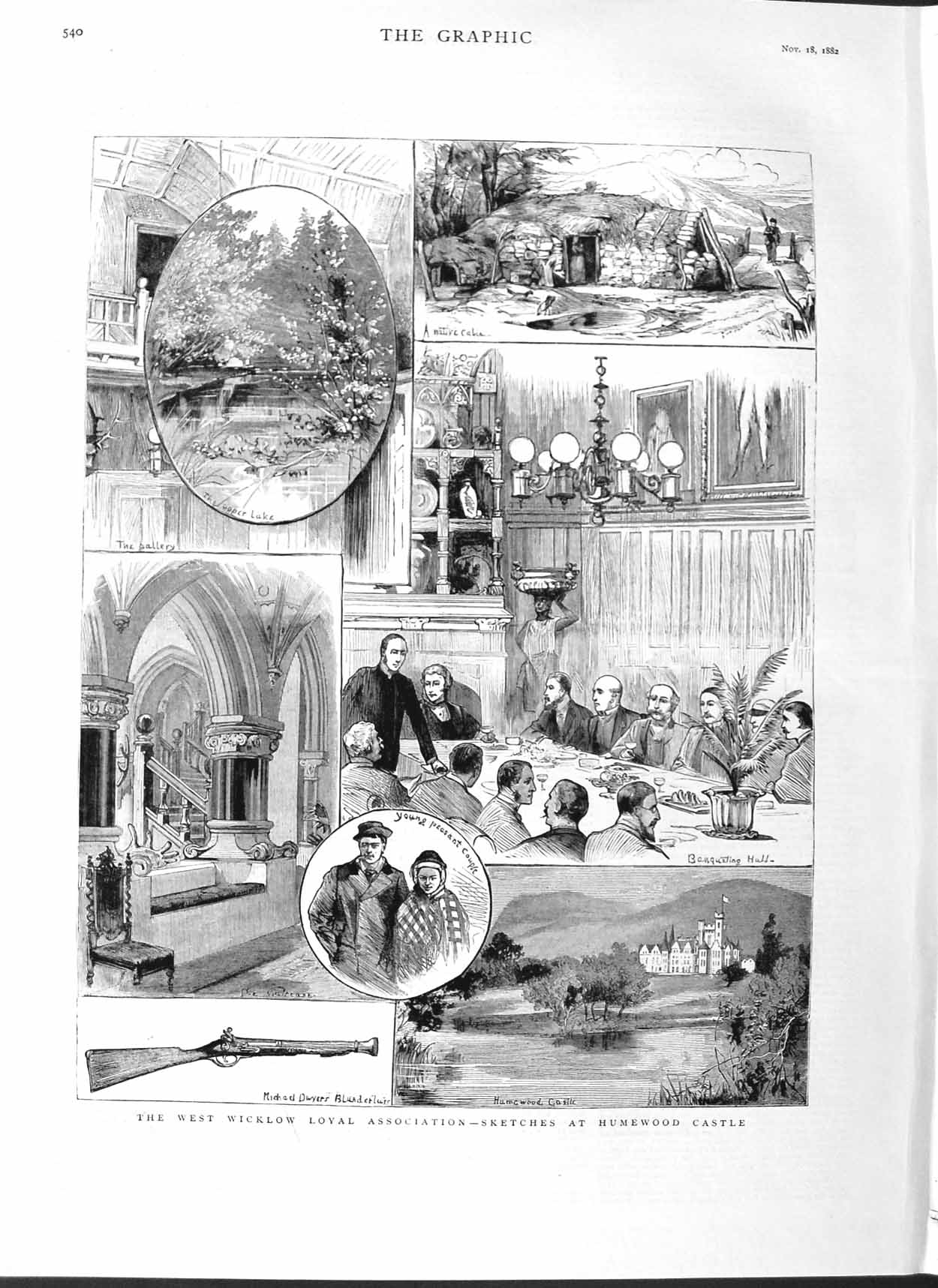 Original Old Antique Print 1882 West Wicklow Loyal Association Humewood Castle