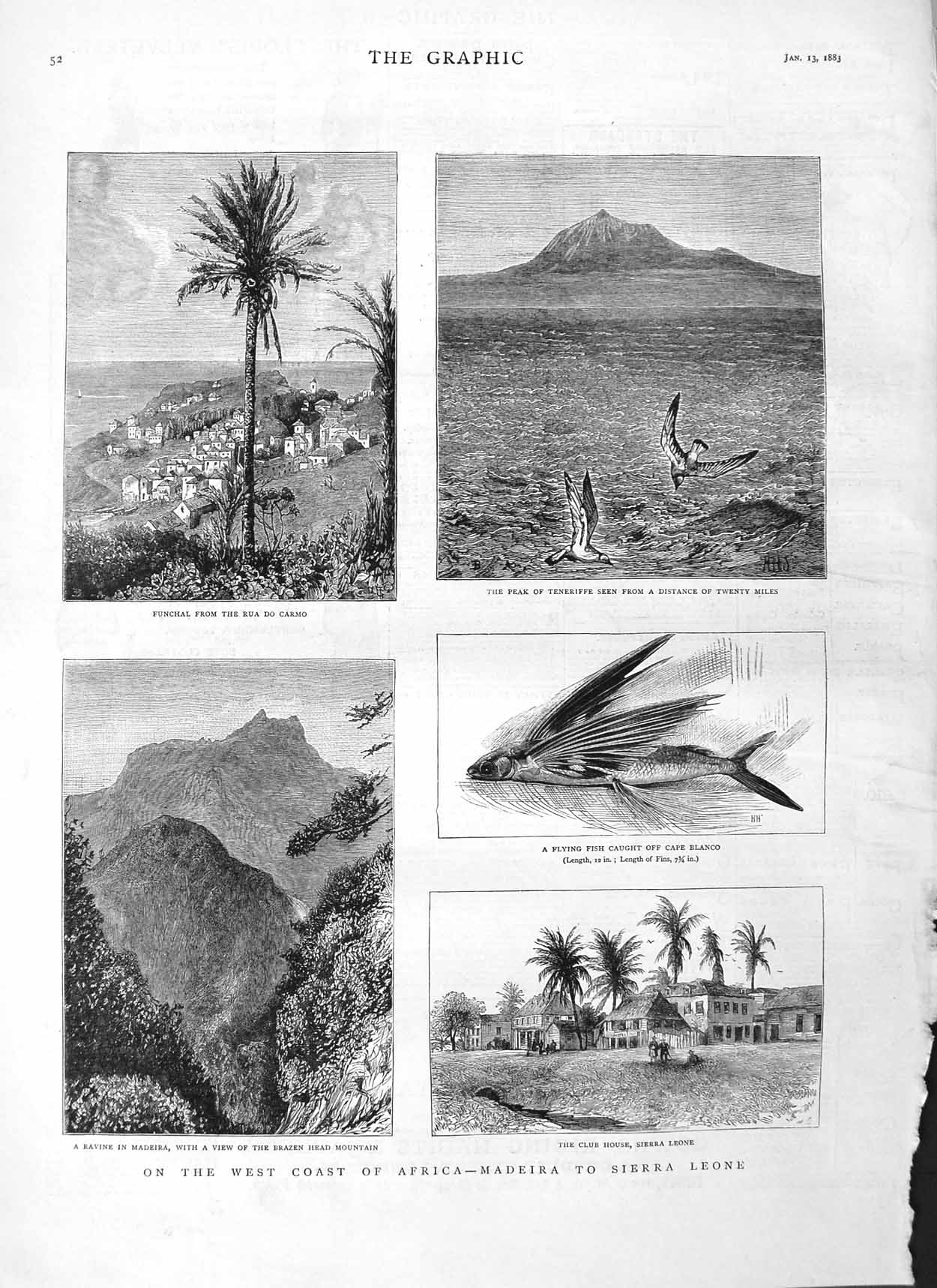Old Antique Print 1883 Africa Madeira Sierra Leone Funchal Tenerife Fish 19th