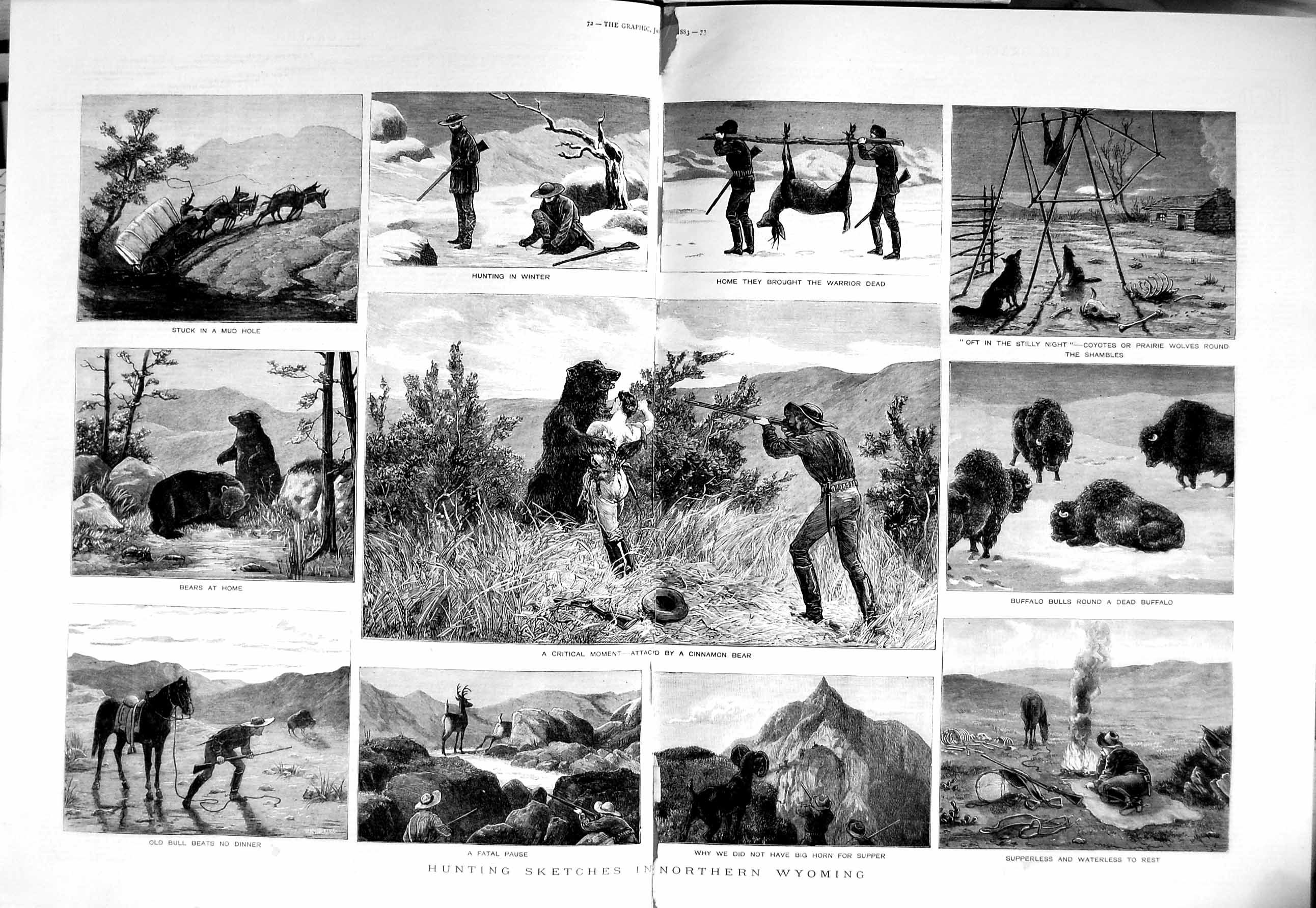 Antique Old Print 1883 Hunting Wyoming Cinnamon Bear Buffalo Bears Wolves 0 19th