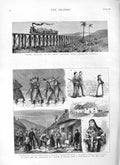 Original Old Antique Print 1883 Australia Sugar-Cane Railway Sier Irelan 19th