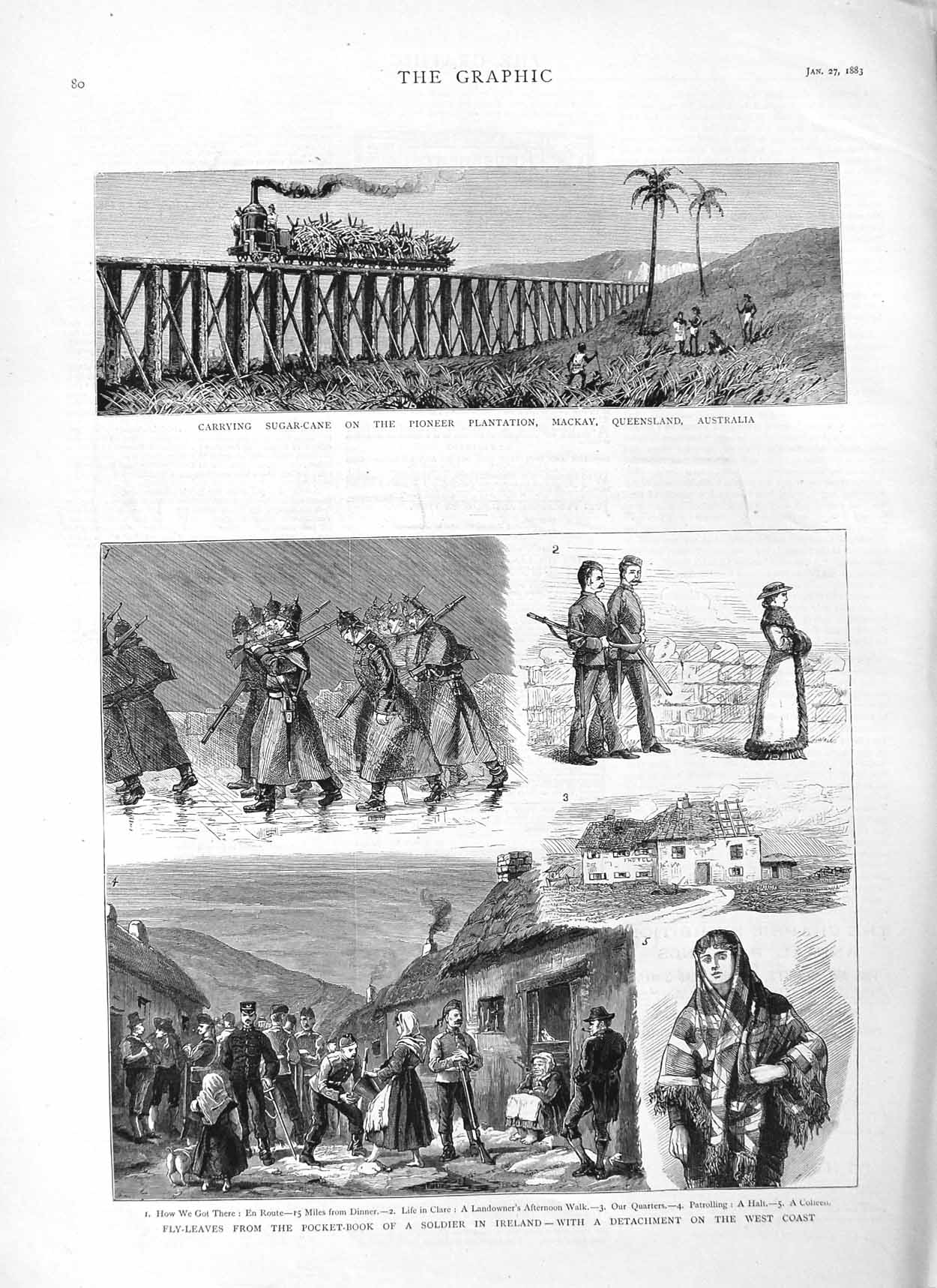 Original Old Antique Print 1883 Australia Sugar-Cane Railway Sier Irelan 19th
