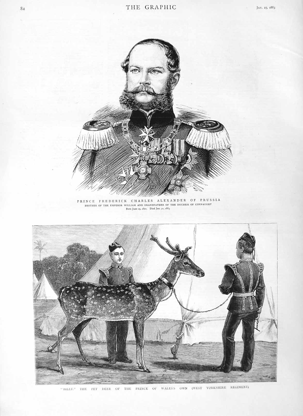 Old Antique Print 1883 Prince Alexander Prussia Billy Pet Deer Yorkshire 19th