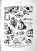 Original Old Antique Print 1883 Nautical Adventures Cat Ship 19th