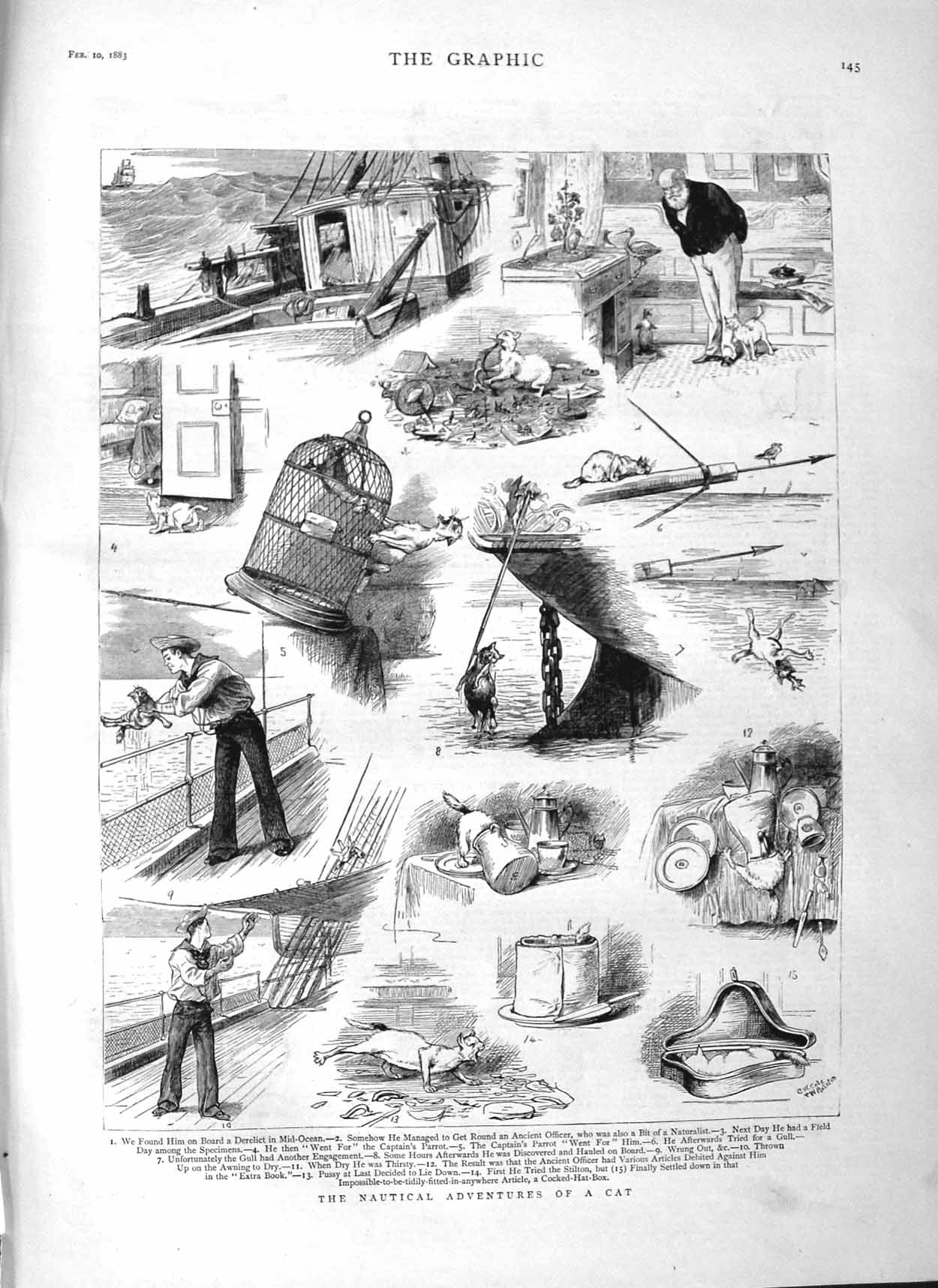 Original Old Antique Print 1883 Nautical Adventures Cat Ship 19th