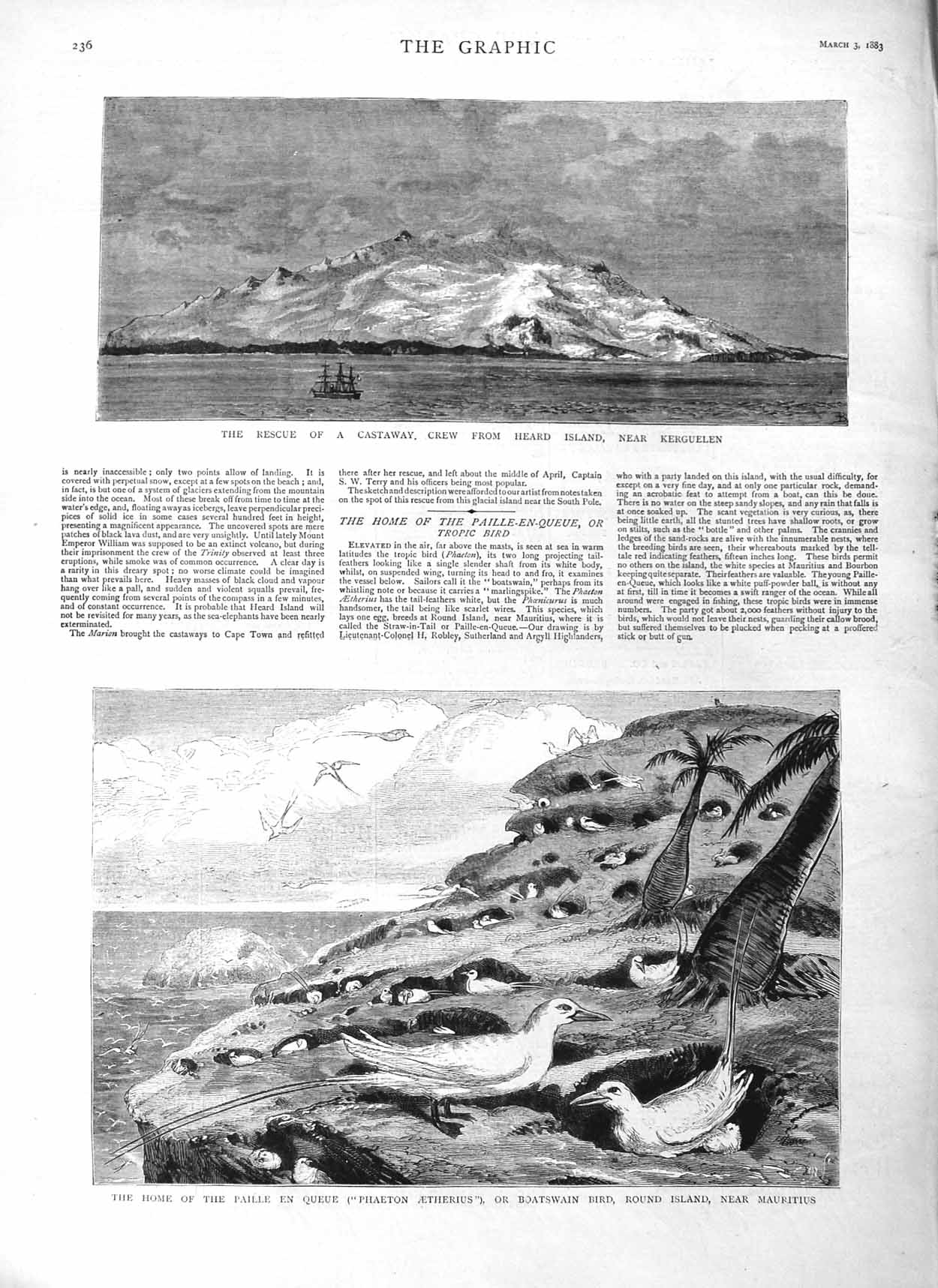 Original Old Antique Print 1883 Resuce Castaway Heard Island Bird Round Paille