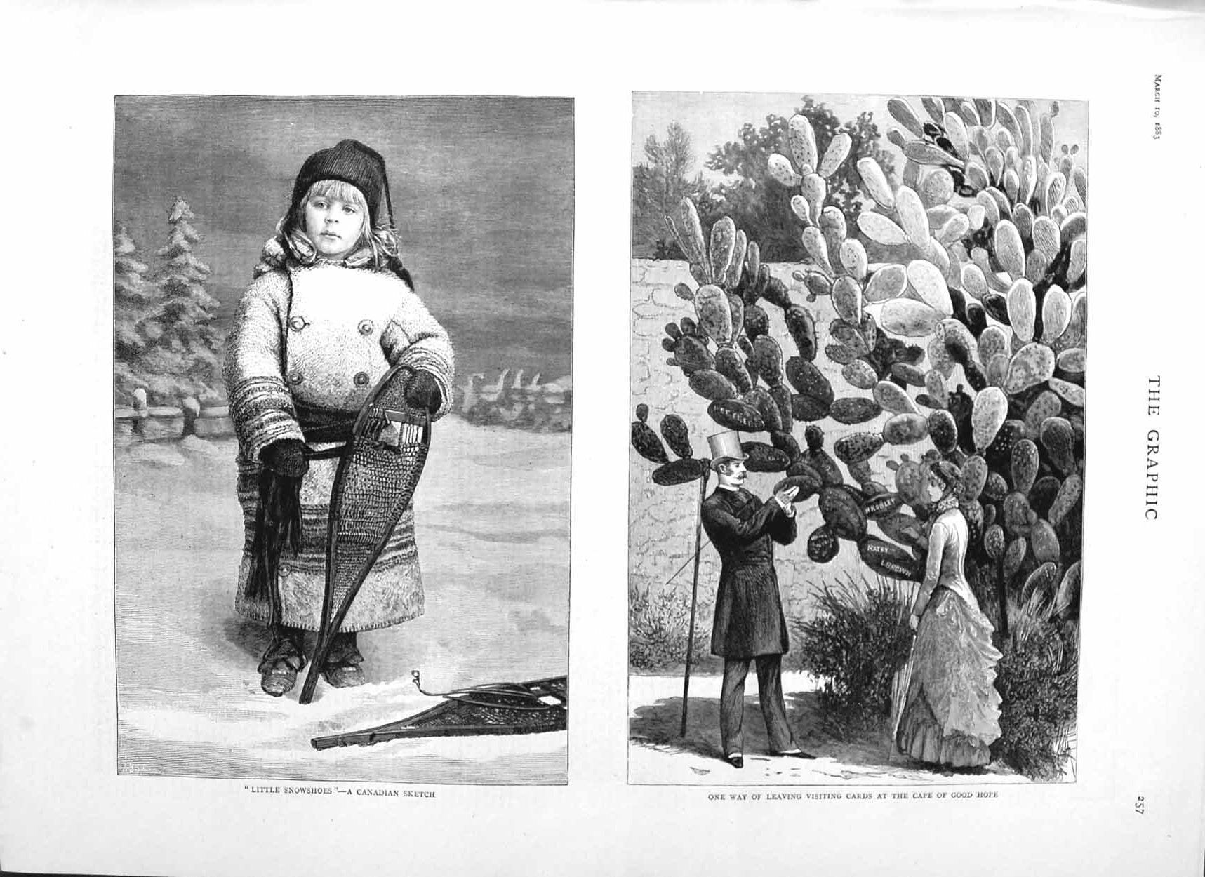 Original Old Antique Print 1883 Little Girl Canada Snowshoes Cape Good Hope 19th
