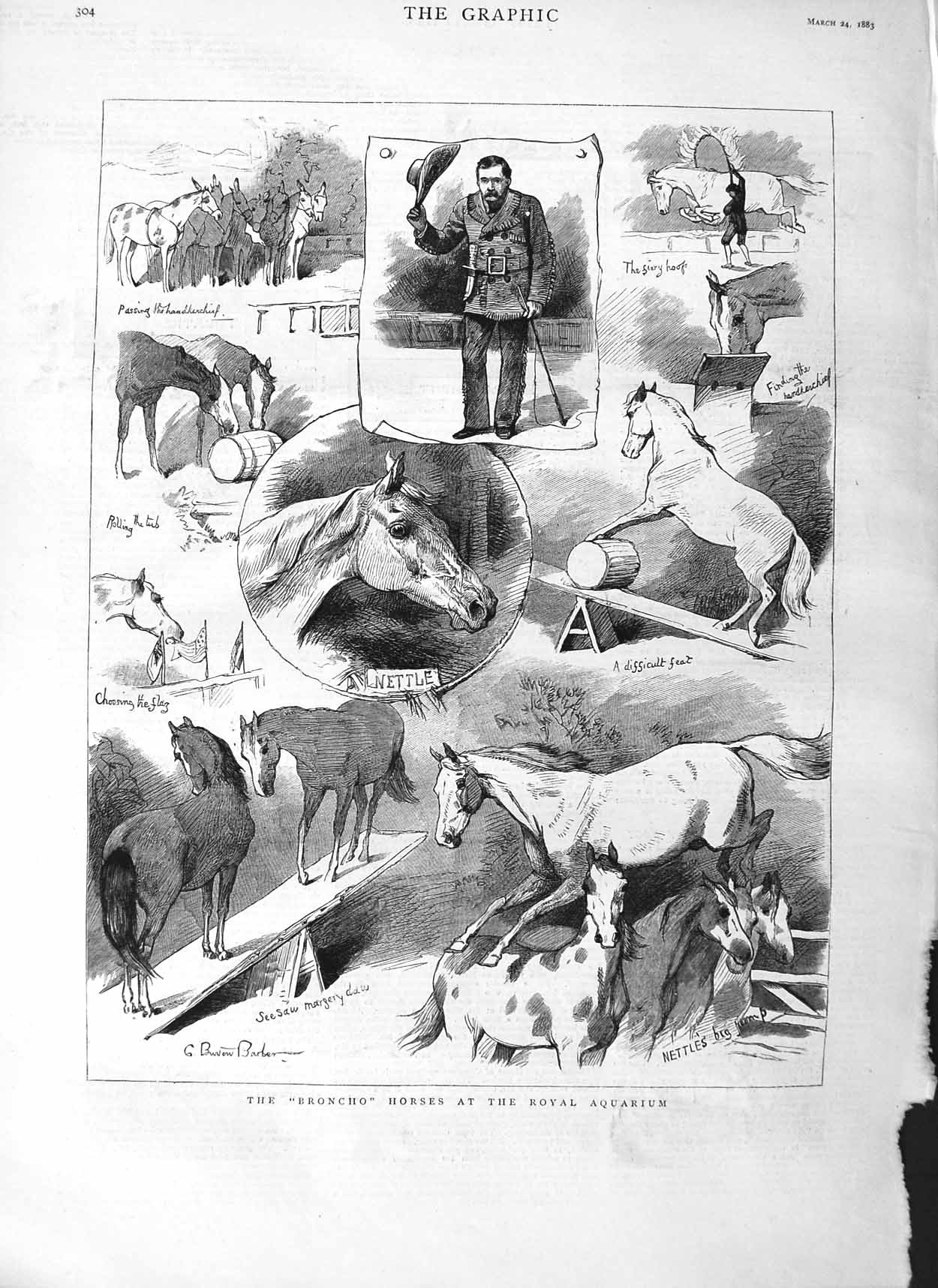 Original Old Antique Print 1883 Broncho Horses Royal Aquarium Nettle Victorian