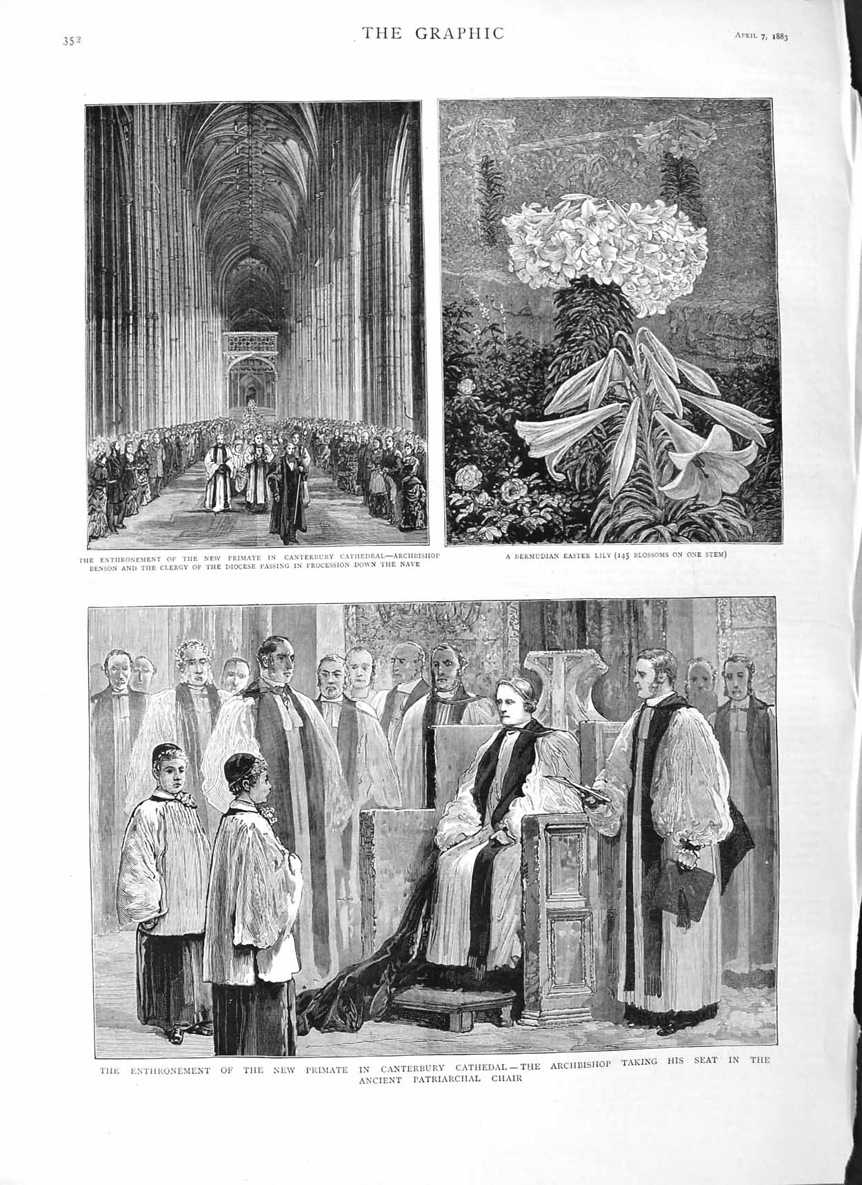 Old Antique Print 1883 Primate Canterbury Cathedral Diocese Easter Lily 19th