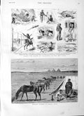 Old Antique Print 1883 Cavalry Horses Cairo California Schooner Buffalo 19th