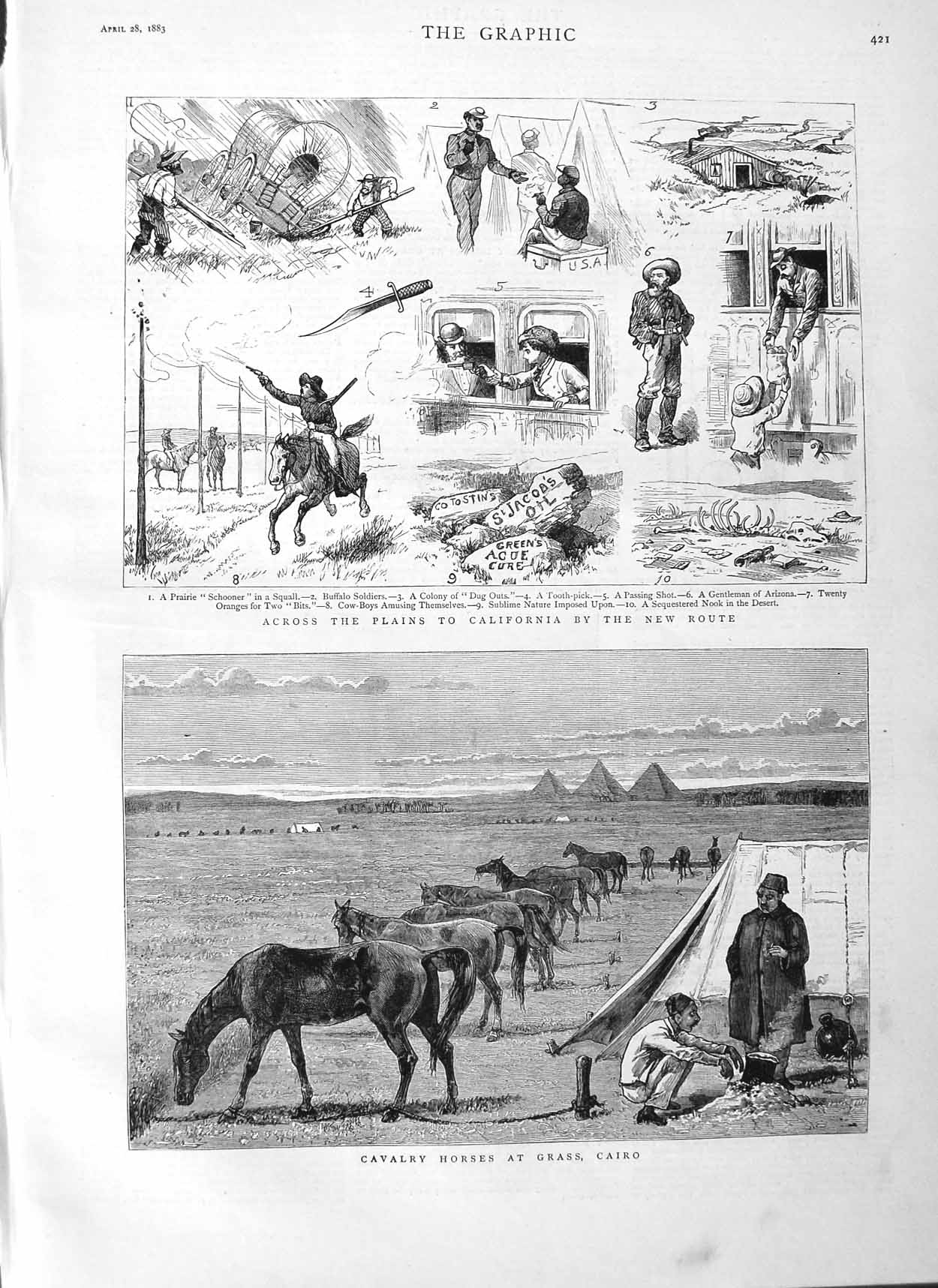 Old Antique Print 1883 Cavalry Horses Cairo California Schooner Buffalo 19th
