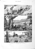 Old Antique Print 1883 Settler'S Life Australia Bees Nest Kangaroos Art 19th