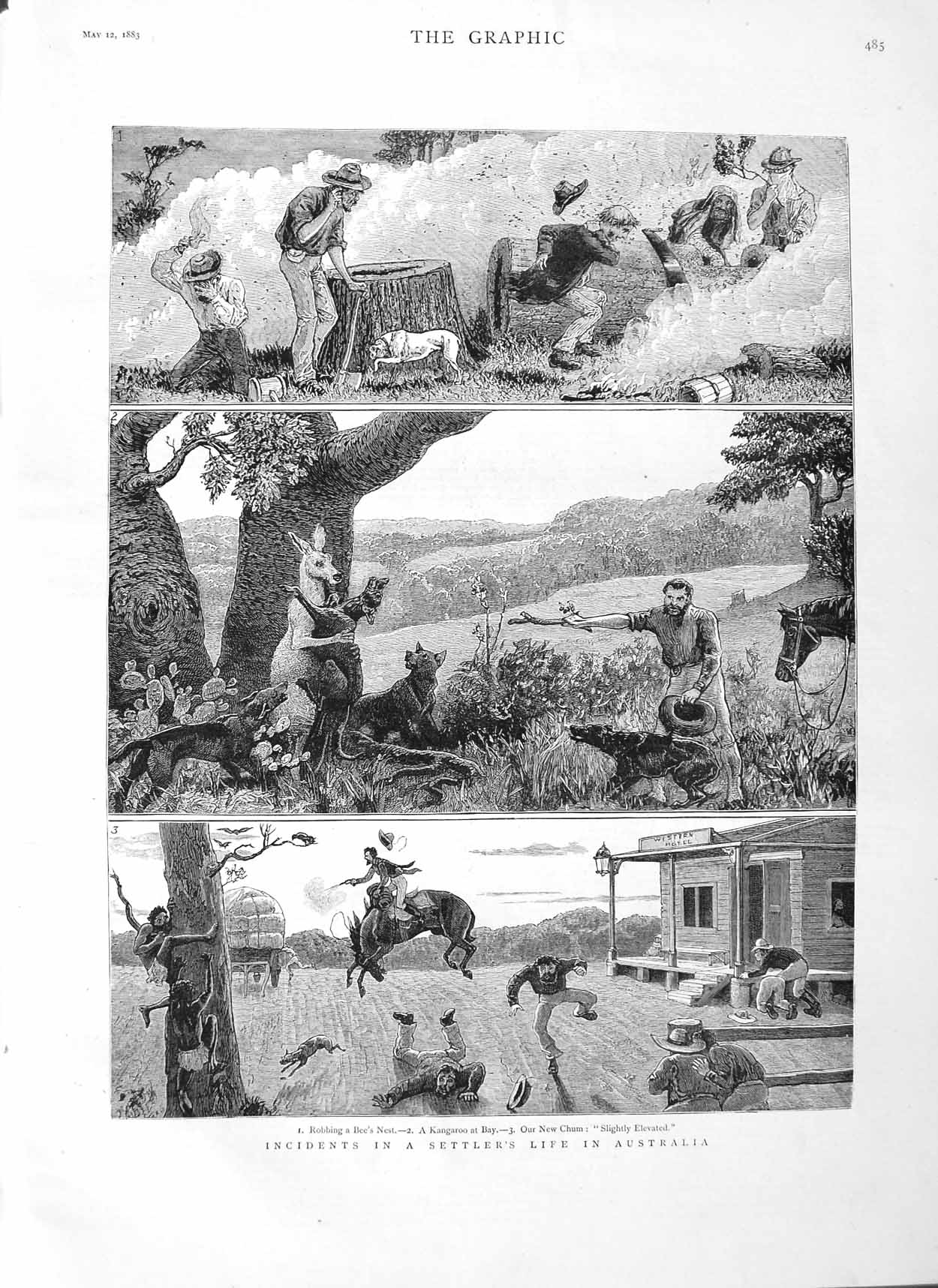 Old Antique Print 1883 Settler'S Life Australia Bees Nest Kangaroos Art 19th