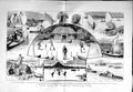 Original Old Antique Print 1883 Cruise Yokohama Canoe Club Japan Boats 19th