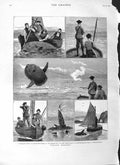 Original Old Antique Print 1883 Sun Fish Shooting Boats Birds Hunting Fine Art