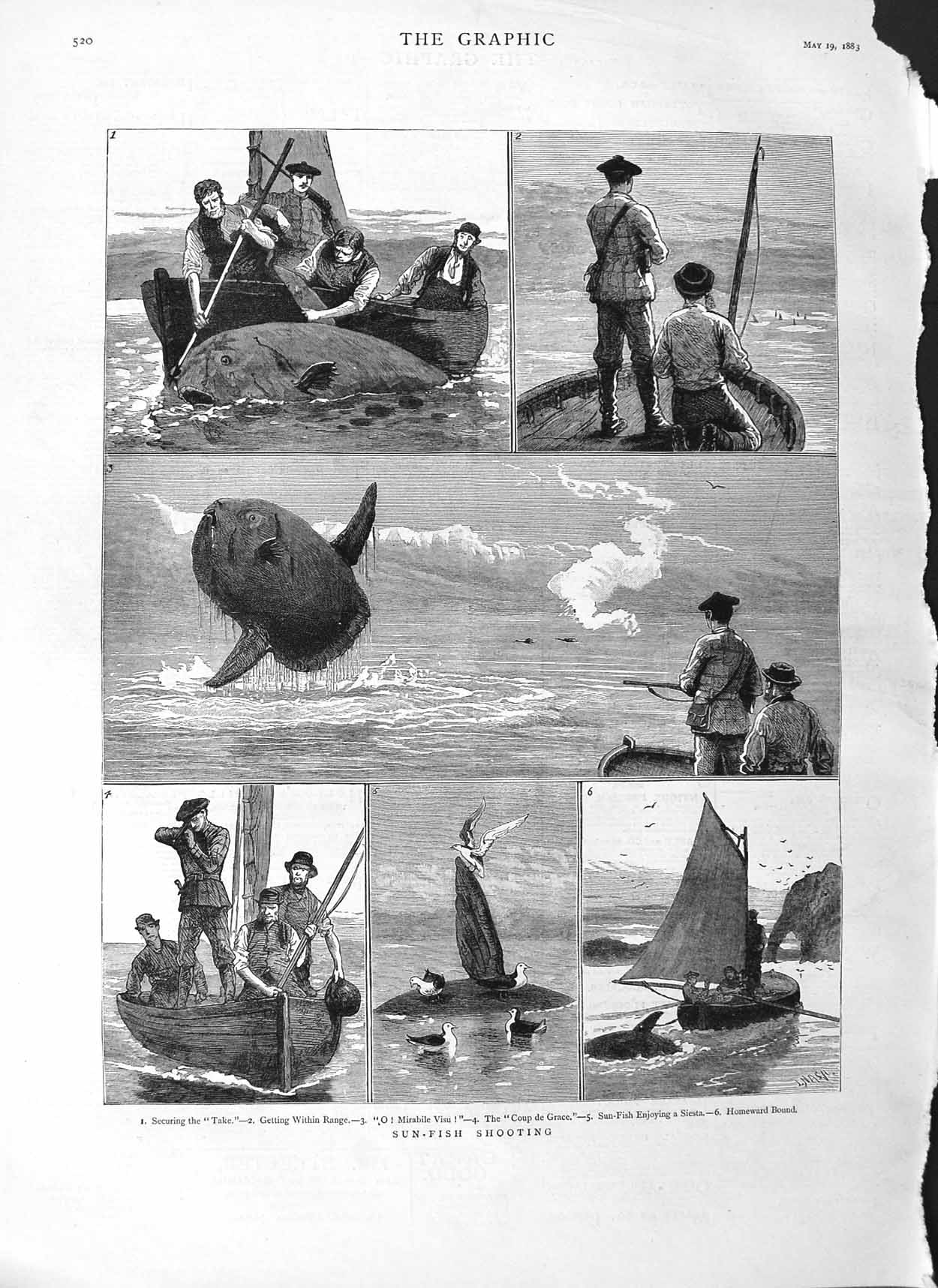 Original Old Antique Print 1883 Sun Fish Shooting Boats Birds Hunting Fine Art