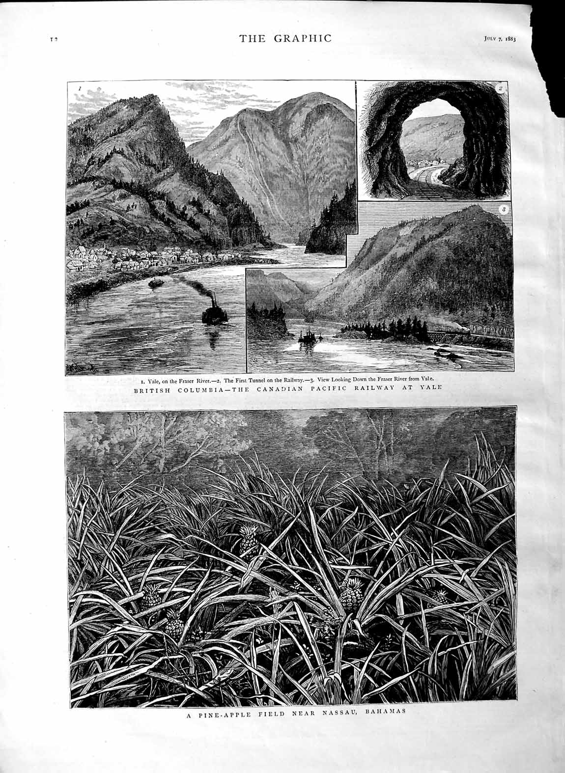 Original Old Antique Print 1883 Candian Pacific Railway Yale Pine-Apple Bahamas
