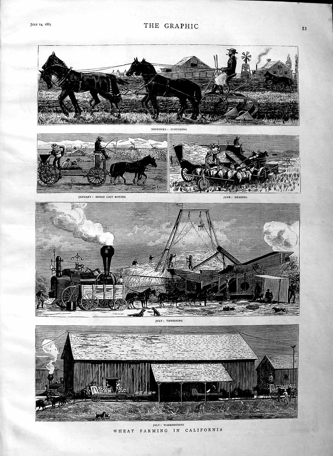 Old Antique Print 1883 Wheat Farming California Threshing Ploughing Farm 19th
