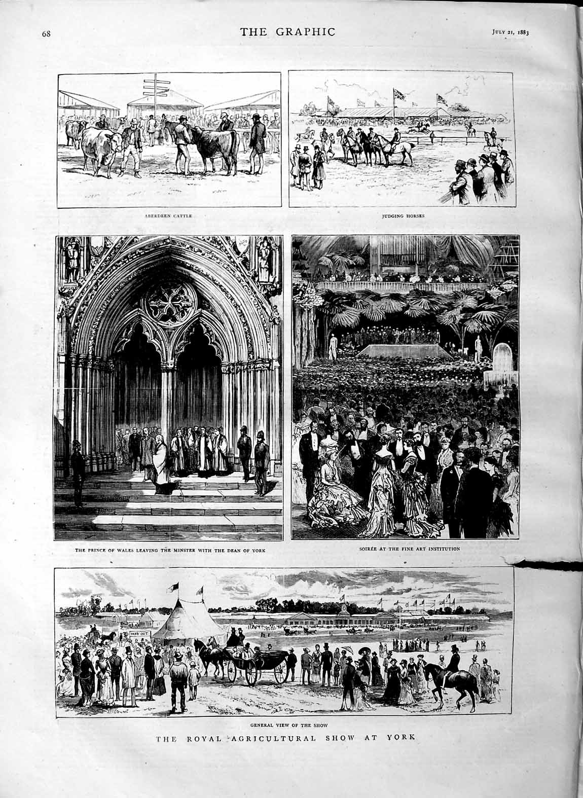 Old Antique Print 1883 Royal Agricultural Show York Aberdeen Cattle Horse 19th