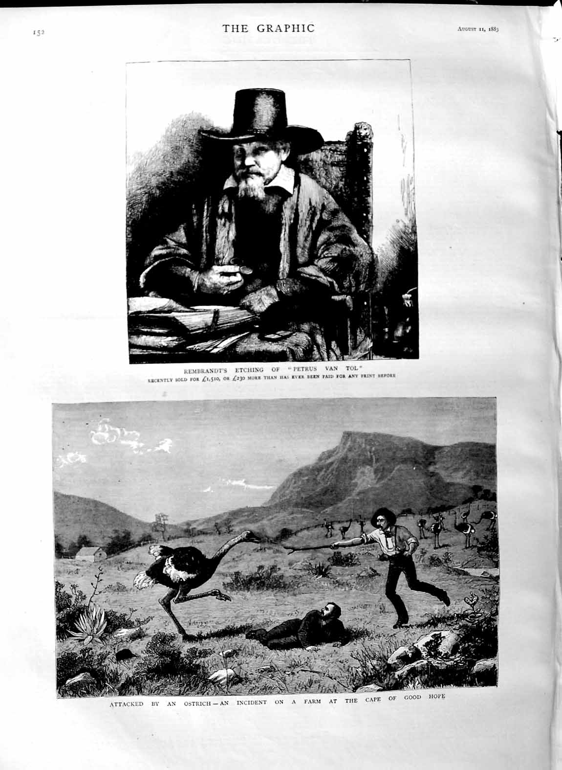 Old Antique Print 1883 Rembrandt Etching Petrus Van Tol Ostrich Cape Hope 19th