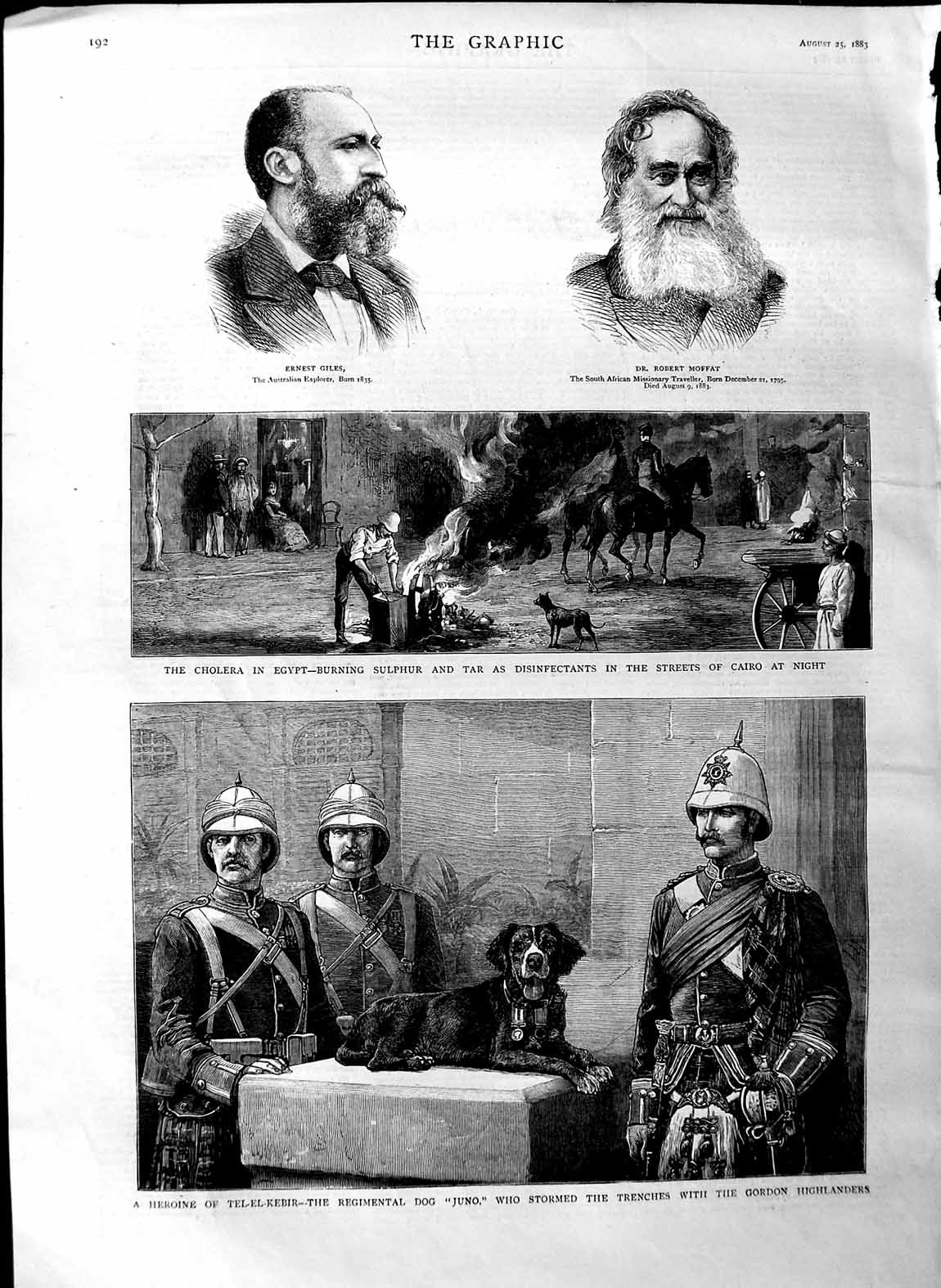 Old Antique Print 1883 Tel-El-Kebir Dog Juno War Gordon Highlanders Giles 19th