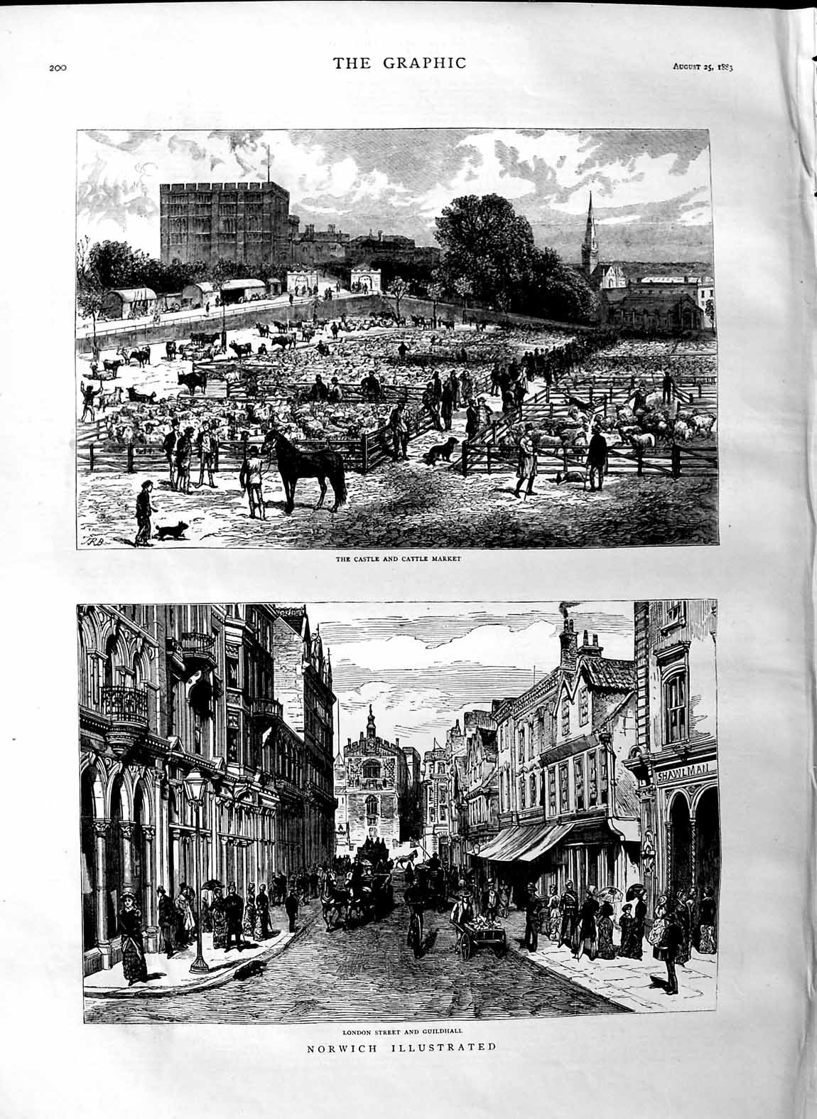 Original Old Antique Print 1883 Norwich London Guildhall Castle Cattle Market