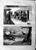 Original Old Antique Print 1883 Stag Hunting Mauritius Doctor Prison Ceylon War
