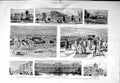 Original Old Antique Print 1883 Calcutta Indian Museum Dalhousie Vicero 19th