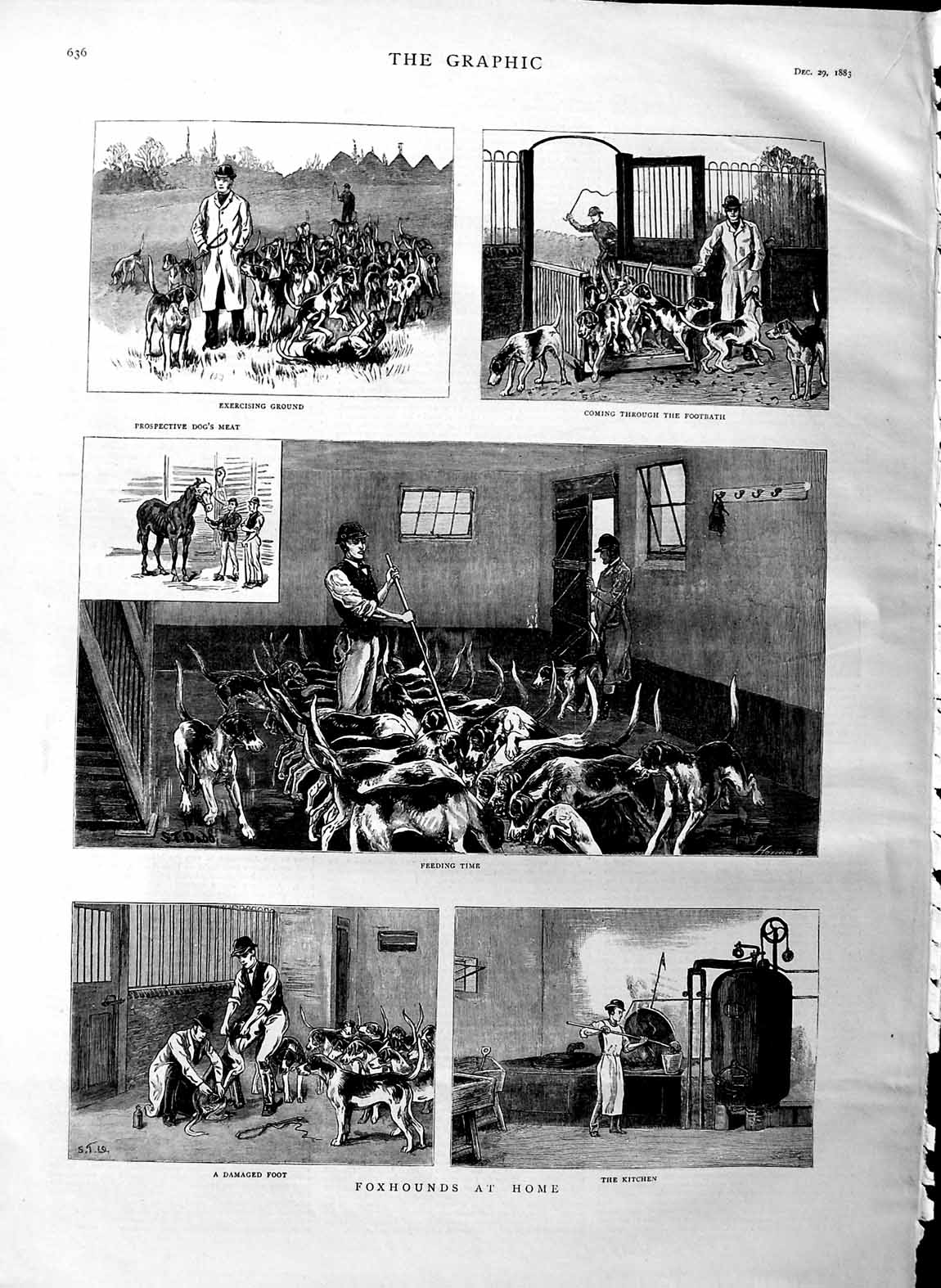 Original Old Antique Print 1883 Foxhounds Home Kitchen Feeding Horses Dogs 19th