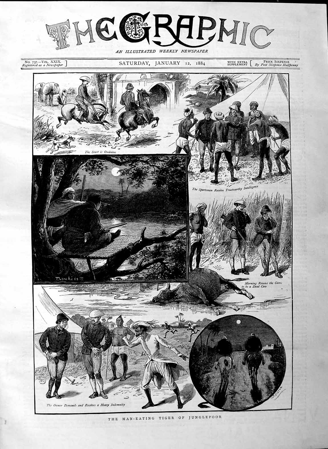 Original Old Antique Print 1884 Man-Eating Tiger Junglepoor Game Hunting Sport