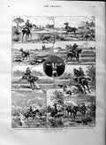 Original Old Antique Print 1884 Nylghau Hunt India Sport Horses Jungle 19th