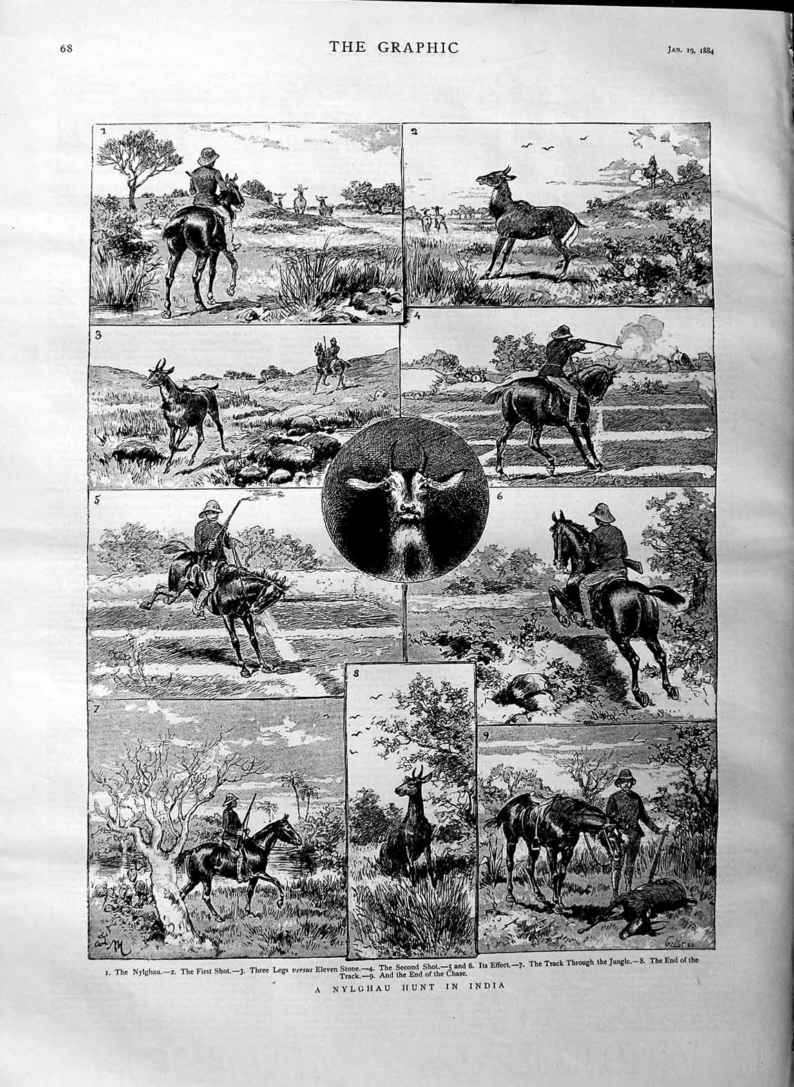 Original Old Antique Print 1884 Nylghau Hunt India Sport Horses Jungle 19th