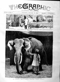 Old Antique Print 1884 Barnum Burmese Elephant Toung Taloung Tenasserim 19th