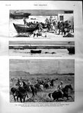 Original Old Antique Print 1884 Soudan Baker Pasha Tokar Trinkitat Mules Suakim